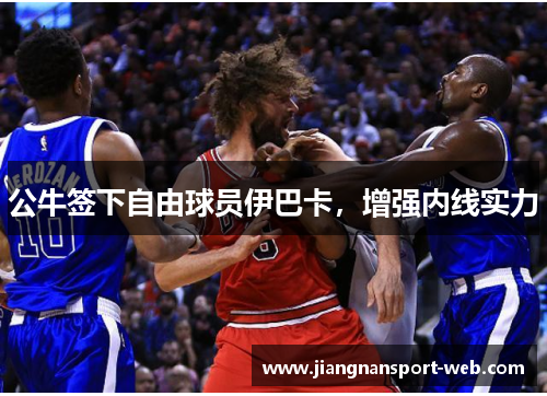 公牛签下自由球员伊巴卡，增强内线实力